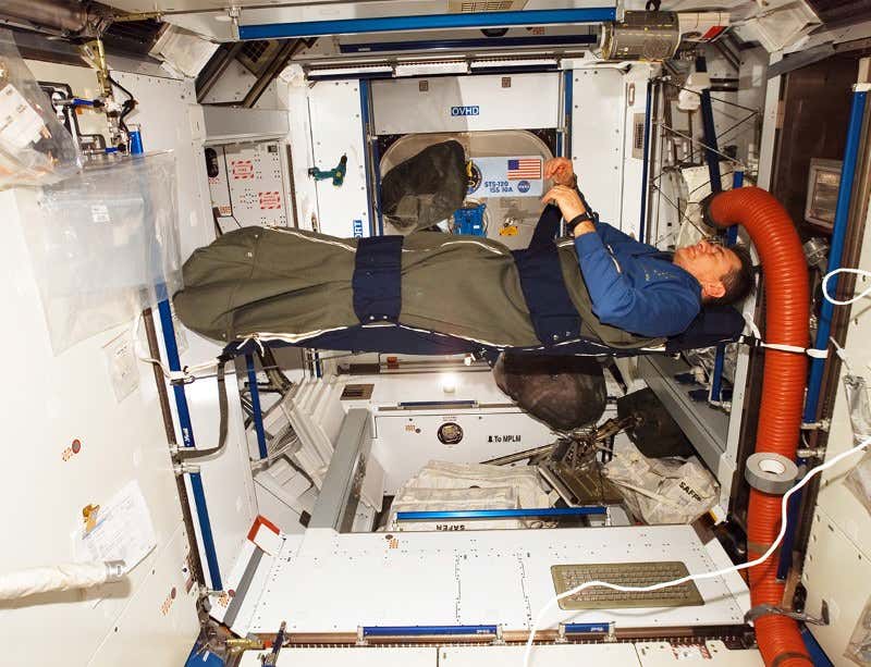 New Scientist. Science news and long reads from expert journalists, covering developments in science, technology, health and the environment on the website and the magazine.