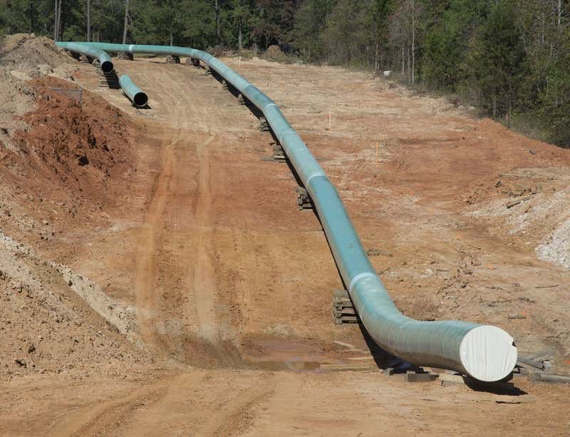 New Scientist. Science news and long reads from expert journalists, covering developments in science, technology, health and the environment on the website and the magazine.