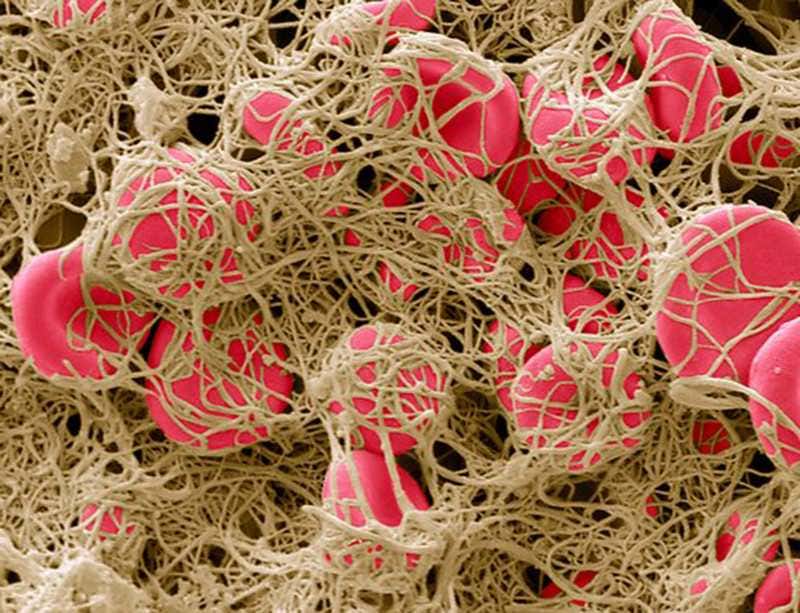 New Scientist. Science news and long reads from expert journalists, covering developments in science, technology, health and the environment on the website and the magazine.