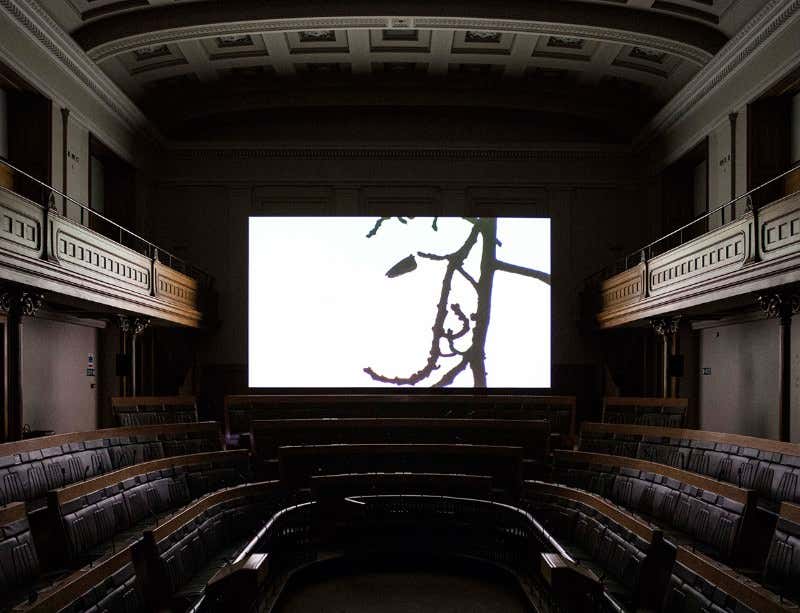 Sea of selfies – social media's monoculture threat