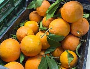 Proof confirmed of 400-year-old fruit-stacking problem