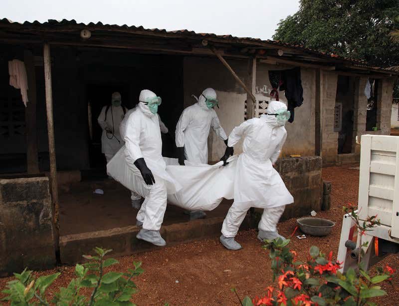 New Scientist. Science news and long reads from expert journalists, covering developments in science, technology, health and the environment on the website and the magazine.