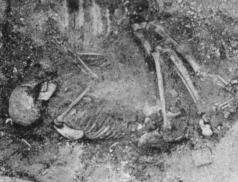 Skeleton in the ground