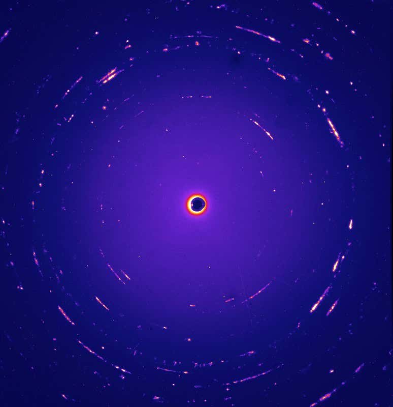 New Scientist. Science news and long reads from expert journalists, covering developments in science, technology, health and the environment on the website and the magazine.