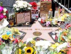 Will death of Robin Williams herald spike in suicides?