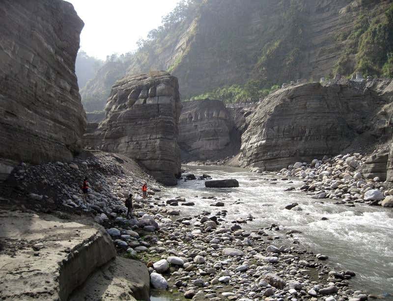 New Scientist. Science news and long reads from expert journalists, covering developments in science, technology, health and the environment on the website and the magazine.