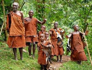 African pygmies evolved their short stature twice