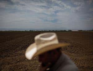 Inside California's $7.5 billion drought-survival plan