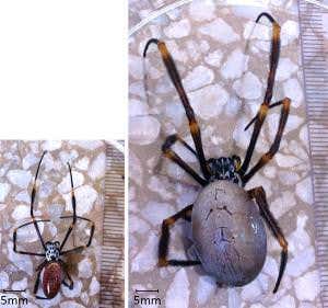 New Scientist. Science news and long reads from expert journalists, covering developments in science, technology, health and the environment on the website and the magazine.