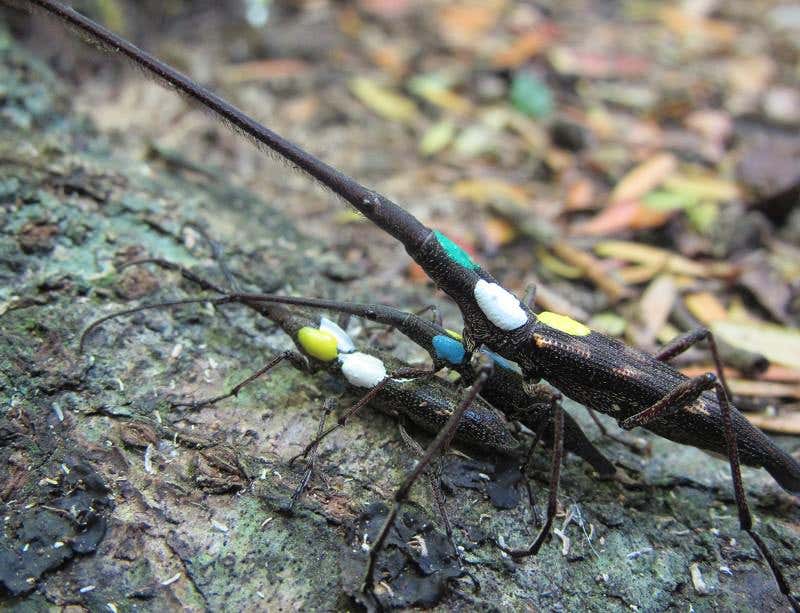 New Scientist. Science news and long reads from expert journalists, covering developments in science, technology, health and the environment on the website and the magazine.