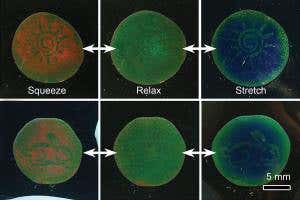 Stretchy plastics hide secret pictures