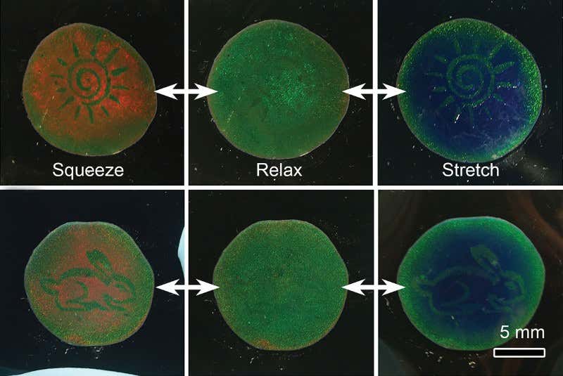 New Scientist. Science news and long reads from expert journalists, covering developments in science, technology, health and the environment on the website and the magazine.