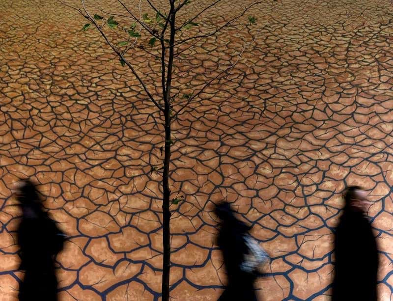 New Scientist. Science news and long reads from expert journalists, covering developments in science, technology, health and the environment on the website and the magazine.