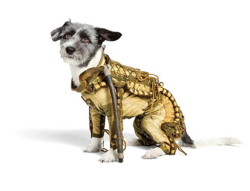 New Scientist. Science news and long reads from expert journalists, covering developments in science, technology, health and the environment on the website and the magazine.