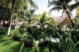 A globetrotting, water-saving tour of sewage gardens