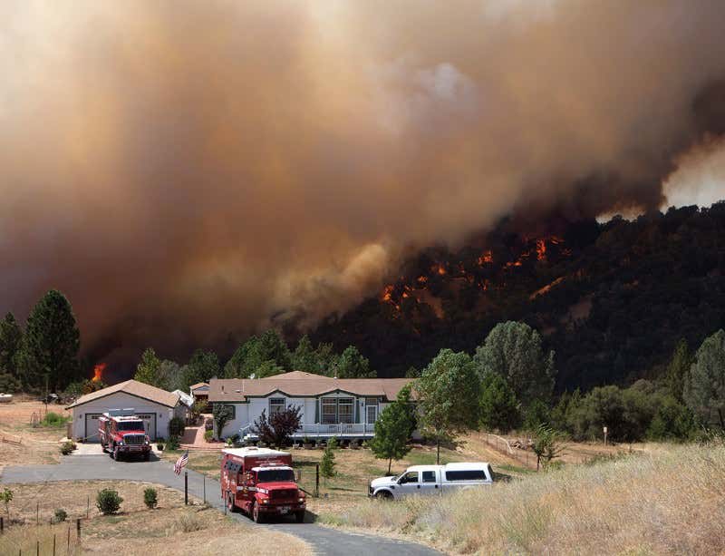 New Scientist. Science news and long reads from expert journalists, covering developments in science, technology, health and the environment on the website and the magazine.