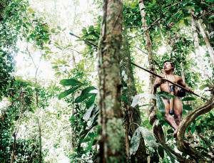 Local people preserve the environment better than governments