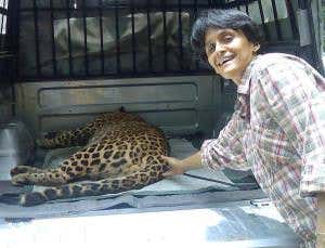 Leopards can be good neighbours in Mumbai