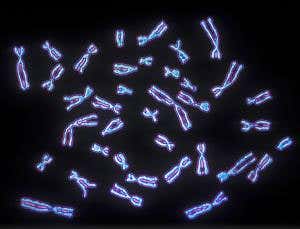 Essence of man: Y size doesn't matter