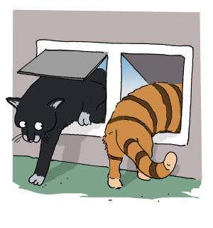 Feedback: Tipping the quantum scales