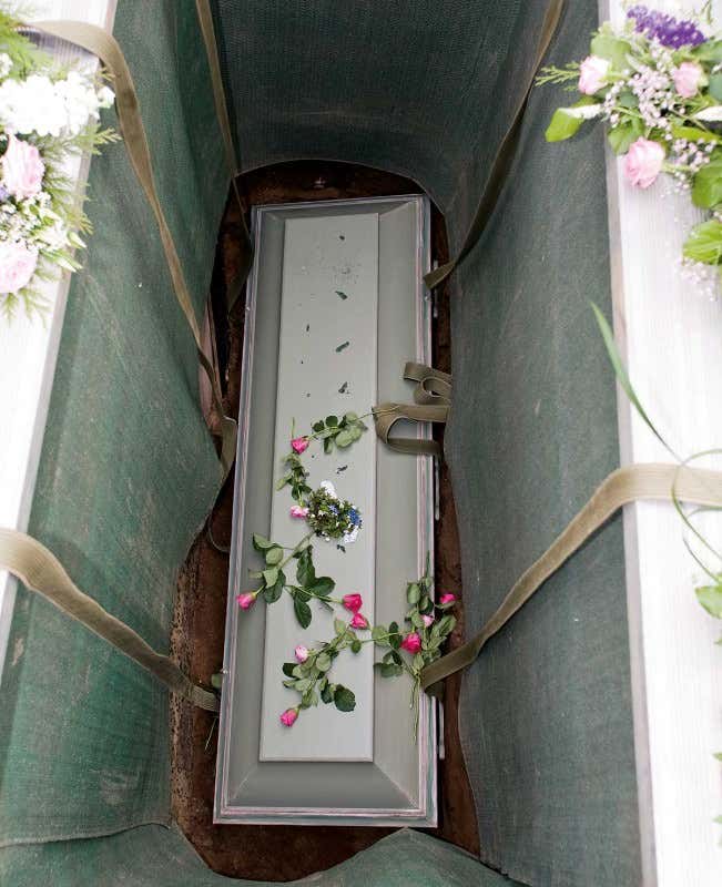 New Scientist. Science news and long reads from expert journalists, covering developments in science, technology, health and the environment on the website and the magazine.