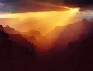 Source of sun's power revealed by ghostly particles