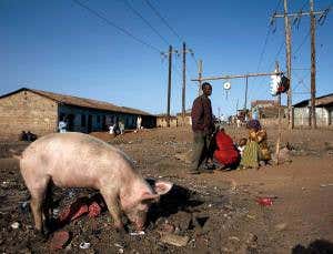 Mapping the web of disease in Nairobi's invisible city