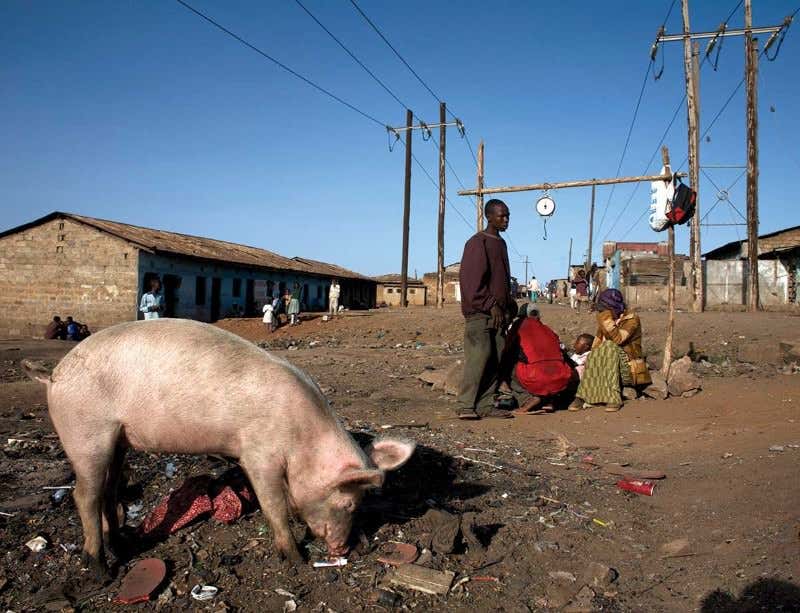 New Scientist. Science news and long reads from expert journalists, covering developments in science, technology, health and the environment on the website and the magazine.