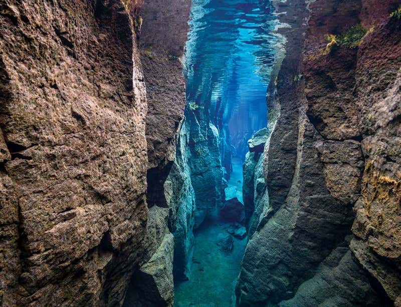 New Scientist. Science news and long reads from expert journalists, covering developments in science, technology, health and the environment on the website and the magazine.