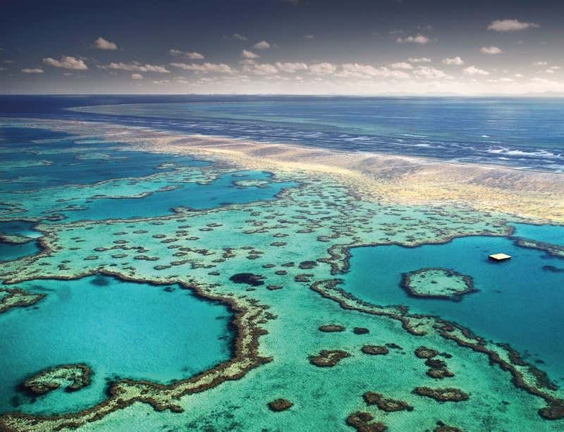 New Scientist. Science news and long reads from expert journalists, covering developments in science, technology, health and the environment on the website and the magazine.