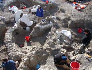 Largest land dinosaur yet makes <i>T. rex</i> look tiny