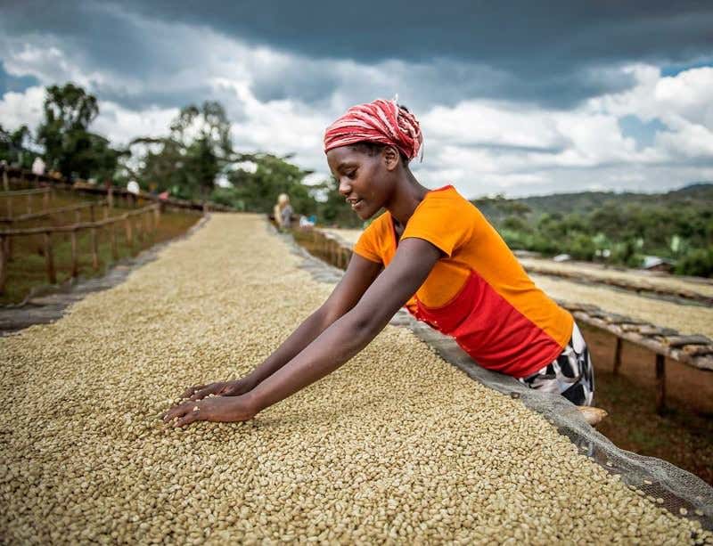 New Scientist. Science news and long reads from expert journalists, covering developments in science, technology, health and the environment on the website and the magazine.