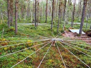 Spidery forest gadgets catch secret nuclear blasts