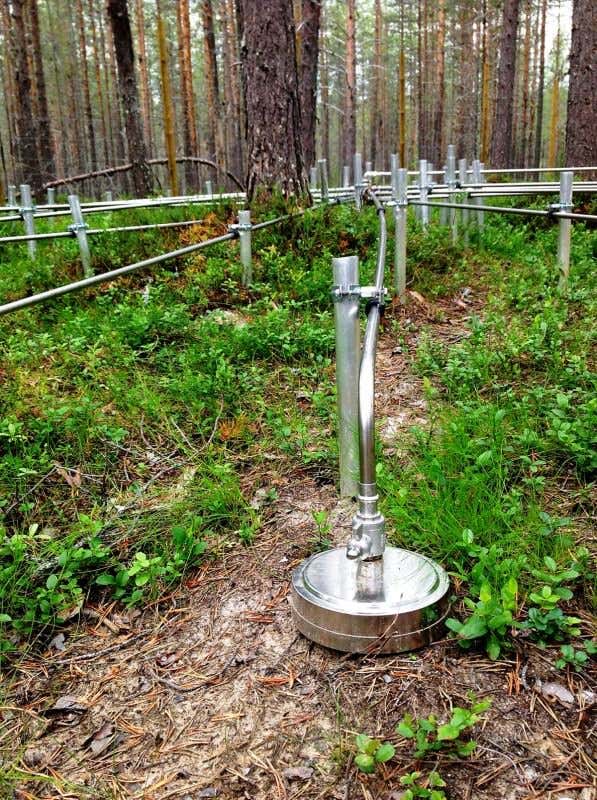 Spidery forest gadgets catch secret nuclear blasts