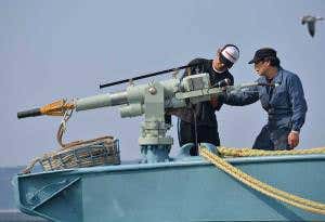 Japan tries everything it can to start whaling again