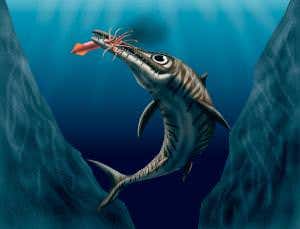 Jurassic corpse-eaters revealed by fossil reptile