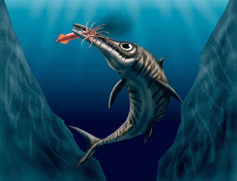 New Scientist. Science news and long reads from expert journalists, covering developments in science, technology, health and the environment on the website and the magazine.