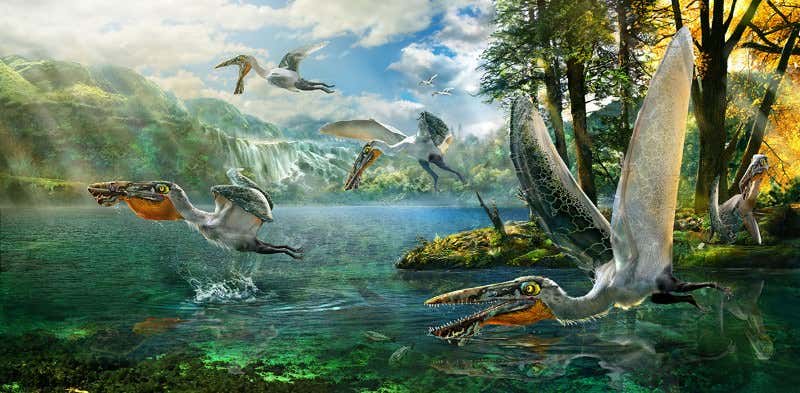 Biggest hunting dinosaur was an aquatic shark-gobbler
