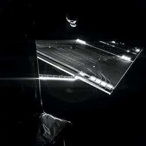 Rubber duck comet photobombs Rosetta probe's selfie