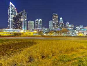 Urban wastelands worth millions for what they give us