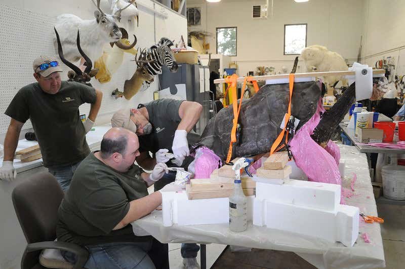 New Scientist. Science news and long reads from expert journalists, covering developments in science, technology, health and the environment on the website and the magazine.