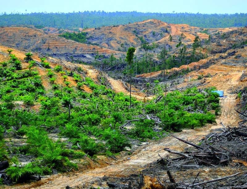New Scientist. Science news and long reads from expert journalists, covering developments in science, technology, health and the environment on the website and the magazine.