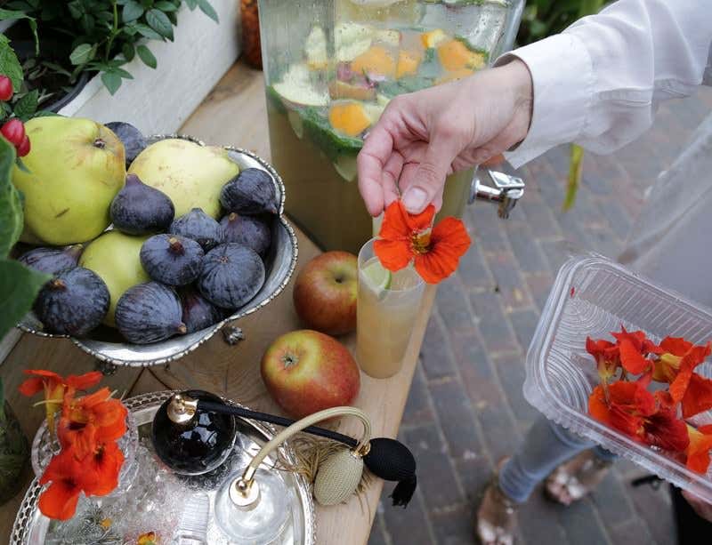 Kew's Intoxication season: live the high life