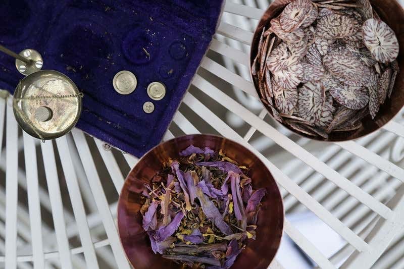 Kew's Intoxication season: live the high life