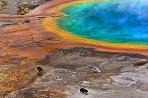 Oh give me a rainbow home where the buffalo roam