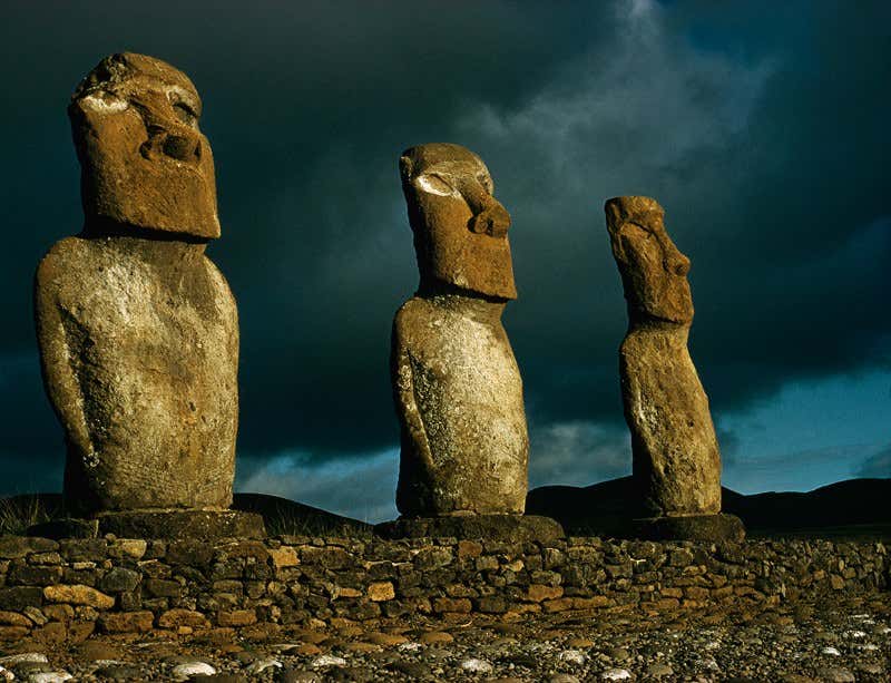 New Scientist. Science news and long reads from expert journalists, covering developments in science, technology, health and the environment on the website and the magazine.