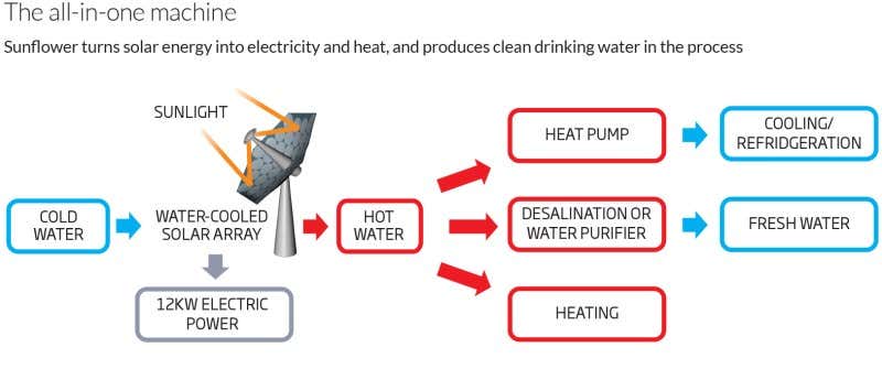 Sunflower solar harvester provides power and water