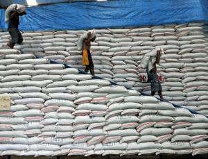 Biography of our ingenious species is full of twists