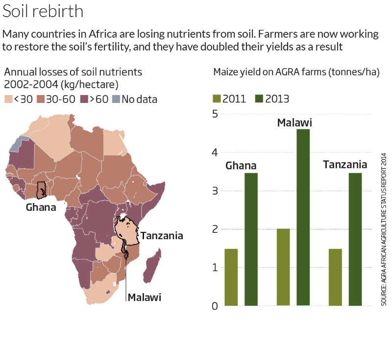 Bill Gates's epic project transforms farming in Africa