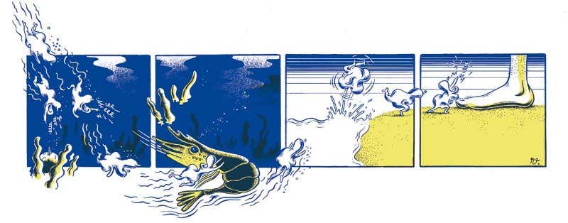 New Scientist. Science news and long reads from expert journalists, covering developments in science, technology, health and the environment on the website and the magazine.